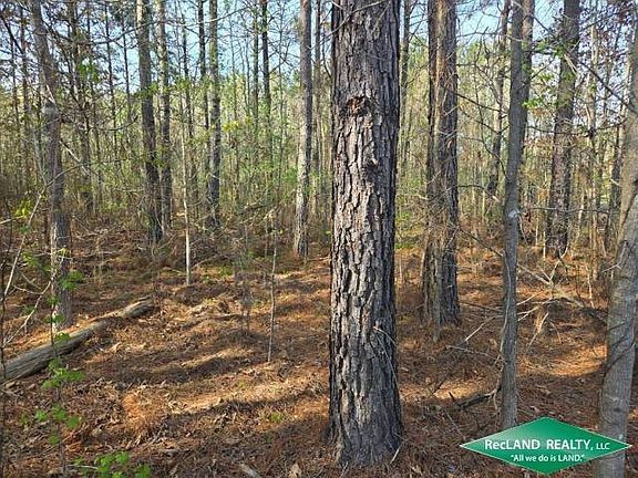 3rd image of 0 Cypress School Rd