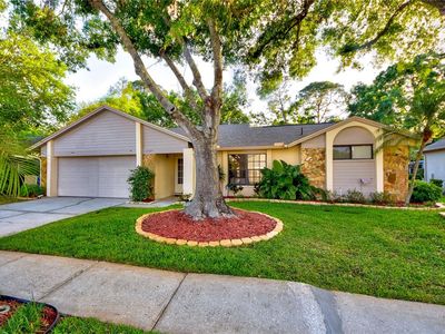 12024 Stone Crossing Cir, Tampa, FL, 33635