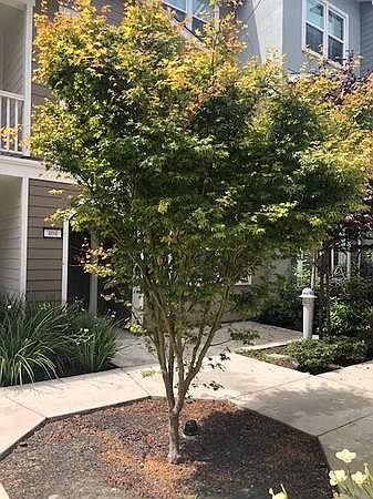 1st image of 405 Jetty Dr