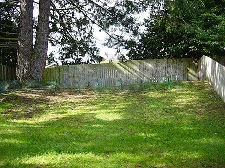 271 146th Pl NE — Photo 15