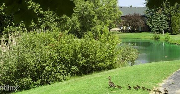 11 Lovely Nature Setting