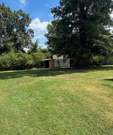 1468 Hilltop St — Photo 10
