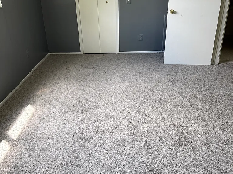 31577 Fraser Dr #2 — Photo 15