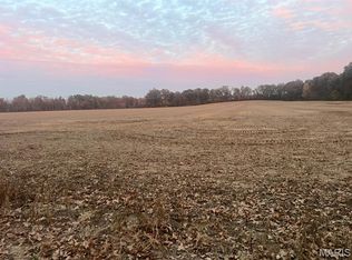 0 County Road 237, Bloomfield, MO 63825