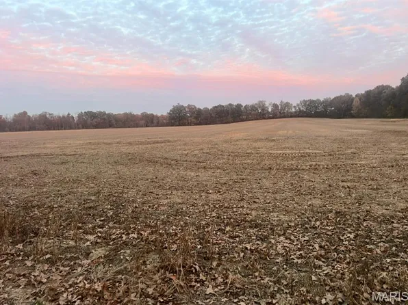 0 County Road 237, Bloomfield, MO 63825