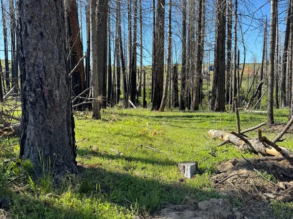 Forest Glen Drive, Grizzly Flats, CA 95636