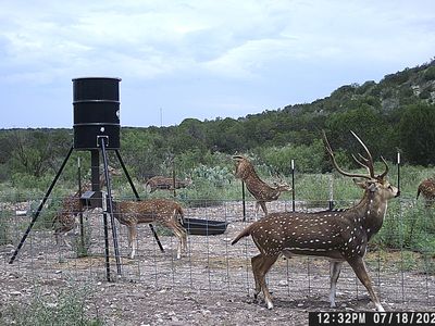 LOT 2 Dusty Rose Ranch East LOT 2, Rocksprings, TX, 78880
