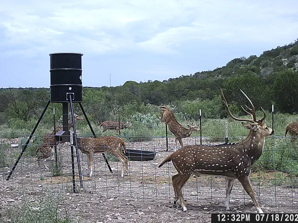 LOT 2 Dusty Rose Ranch East LOT 2, Rocksprings, TX 78880