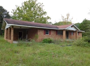 300 Perry Williams Rd, Hamlet, NC 28345