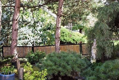 garden next to driveway