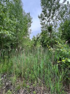 17 Walden Way, New Buffalo, MI, 49117