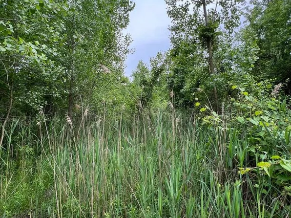 17 Walden Way, New Buffalo, MI 49117