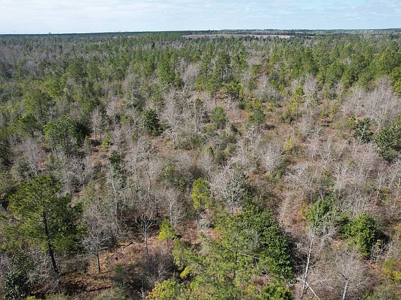 4th image of 10049 NW Gray Rd