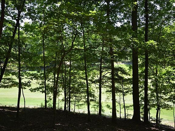 4th image of 2528 Turnbury Ln