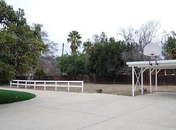 Back Yard Facing East