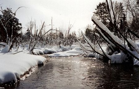 2nd image of Fred Tripp Rd