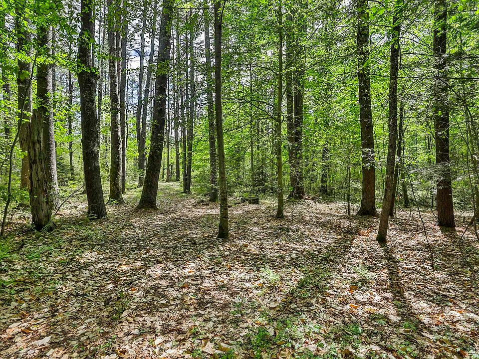 1st image of 2A & 2B Camp Road