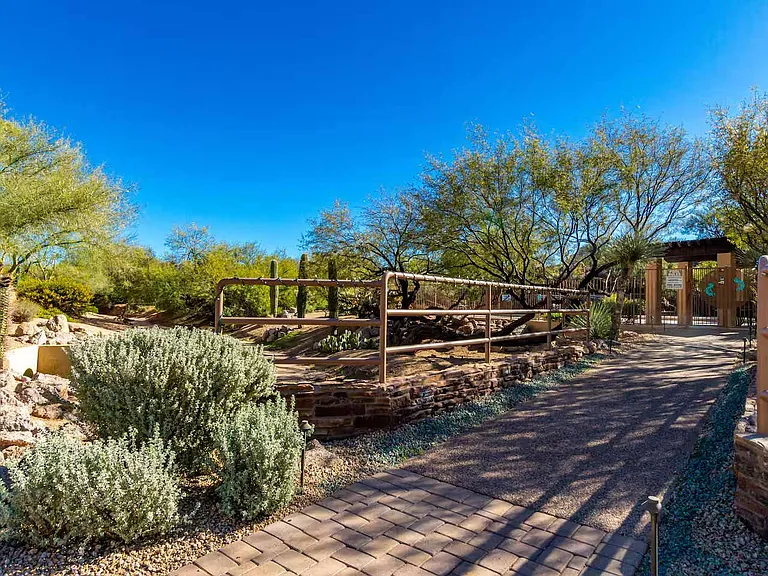 28990 White Feather Ln — Photo 38