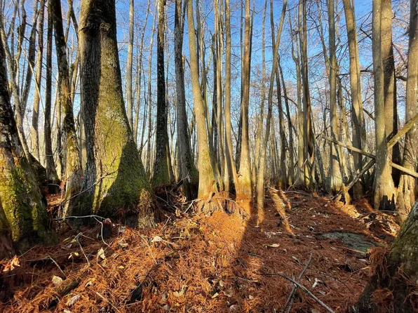 Quafaloma Rd, Tchula, MS 39169