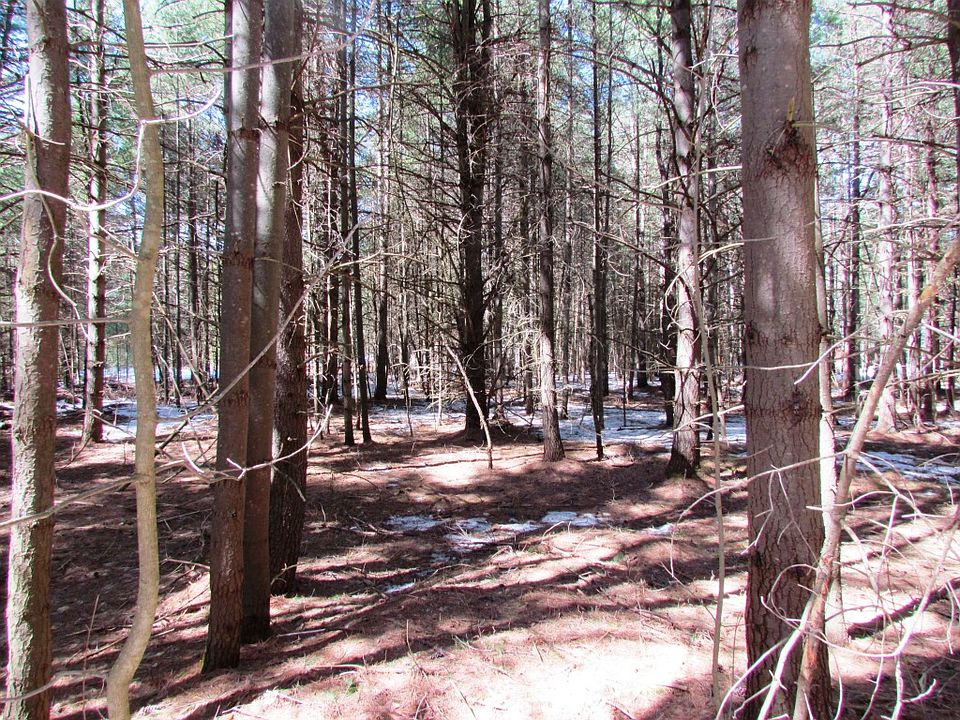 1st image of North Shore Road