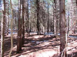 North Shore Road, Glenfield, NY 13343