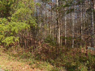 LOT 3 Legend Dr, Sevierville, TN, 37876