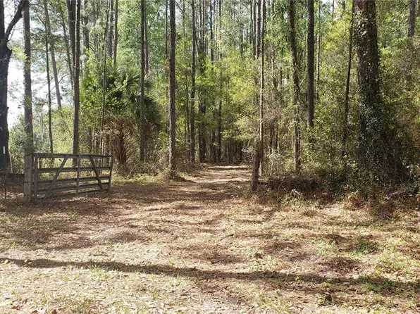 NW 115th Ave, Reddick, FL 32686