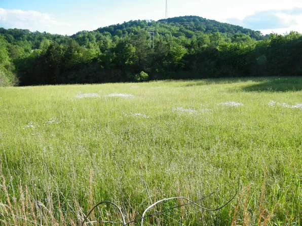 4 Sleepy Hollow Ln Lot 4, Hartsville, TN 37074