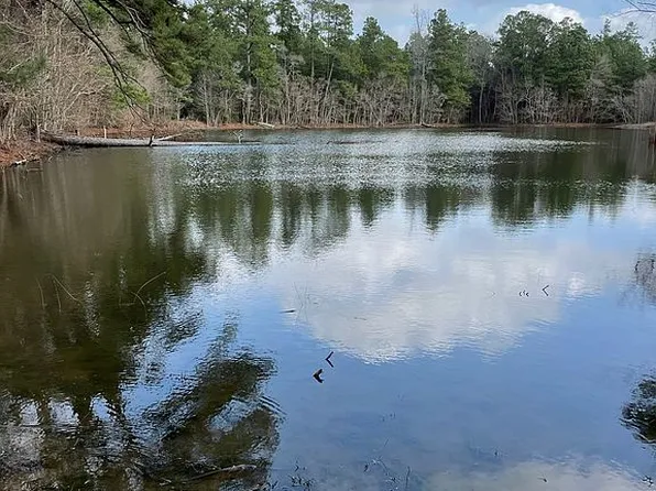 25768 S Us Highway 69, Zavalla, TX 75980