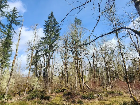 285 Justus Rd, Cinebar, WA 98533