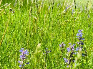 56 Brasher Rd, Wassaic, NY 12592