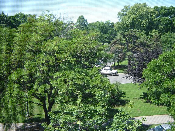 Washington Park View