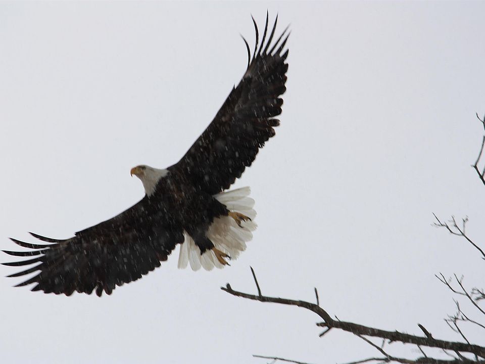 701 Grey Rd, West Branch, MI 48661 Zillow