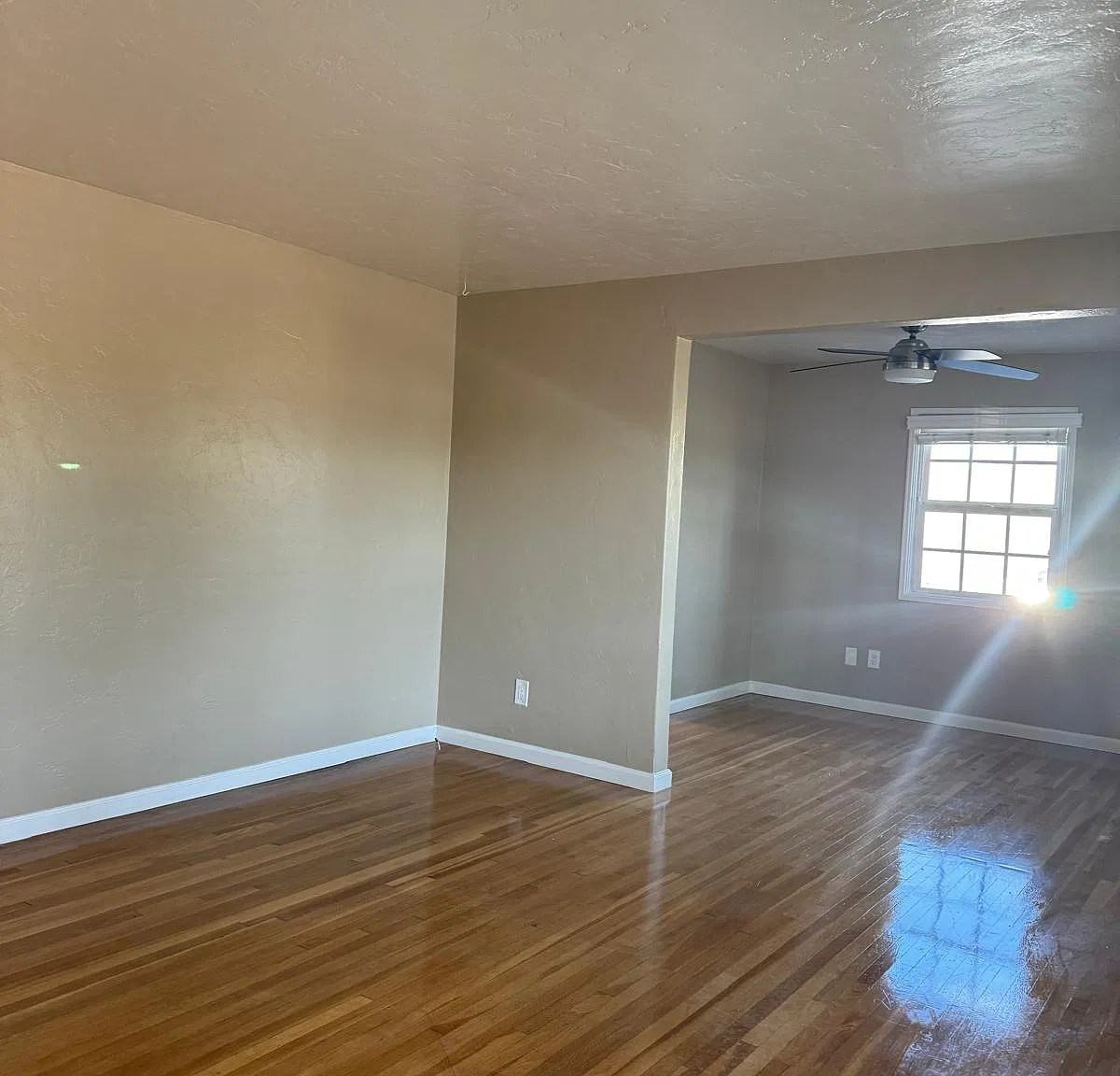 3 bed, 1.5 bath, 1198 sqft, $4,000 — Photo 3