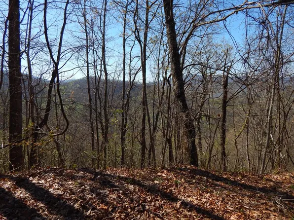 13 & 14 Burnt Leaf Ln, Hayesville, NC 28904