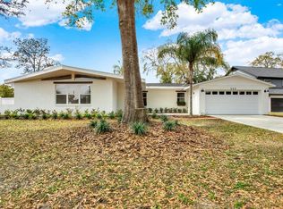 222 Willowick Ave, Temple Terrace, FL 33617