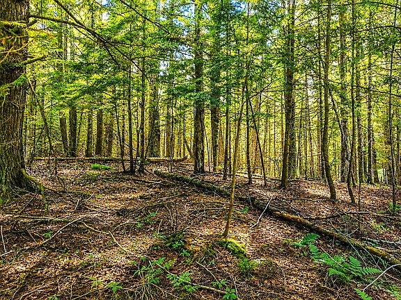5th image of LOT 4 Stateline Lake Rd