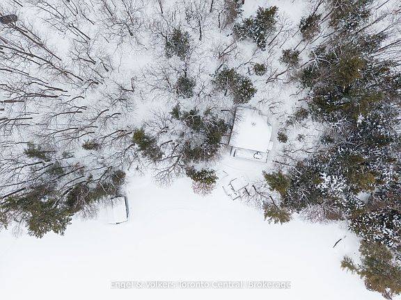 5th image of 1246 Purdy Rd