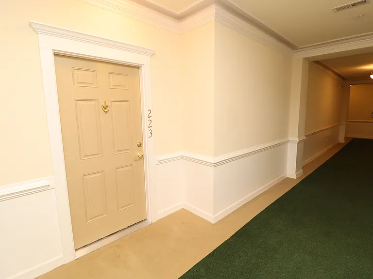 223 Eyam Hall Ln — Photo 3