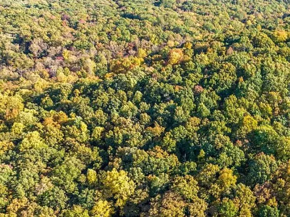 943 Chestnut Ridge Rd, Spring City, TN 37381