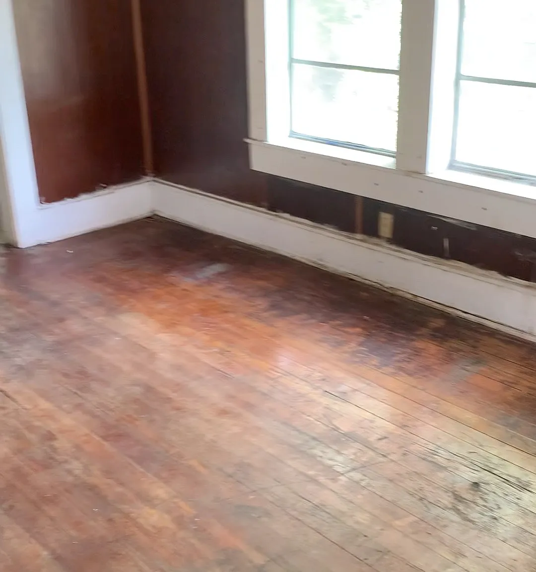 1415 Aste St — Photo 2