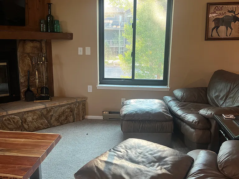 4827 Ryan Gulch Rd #4827 — Photo 10