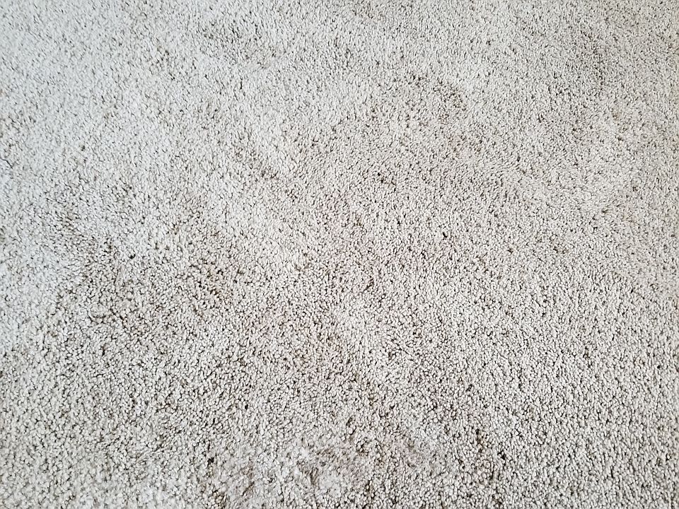 New plush stainmaster carpet
