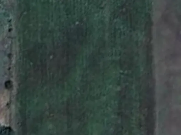 1035 Holder Rd, Forreston, TX 76041