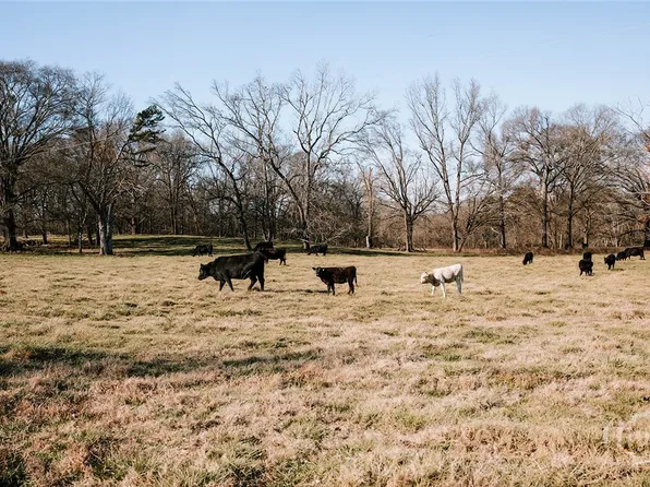 0 Ralph Bridges Road, Lexington, GA 30648