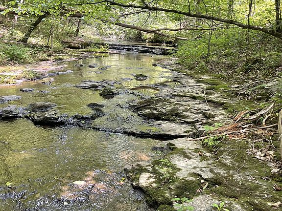 4th image of 7908 Daugherty Capley Rd