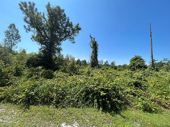 4th image of 107 Lake Margaret Boulevard
