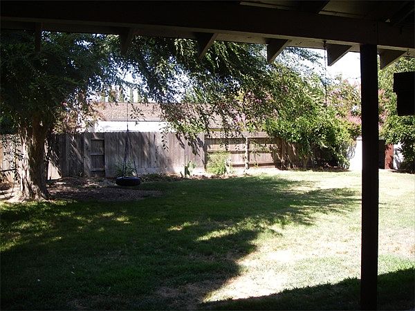Back yard with wonderful shade tree. View from covered porch.