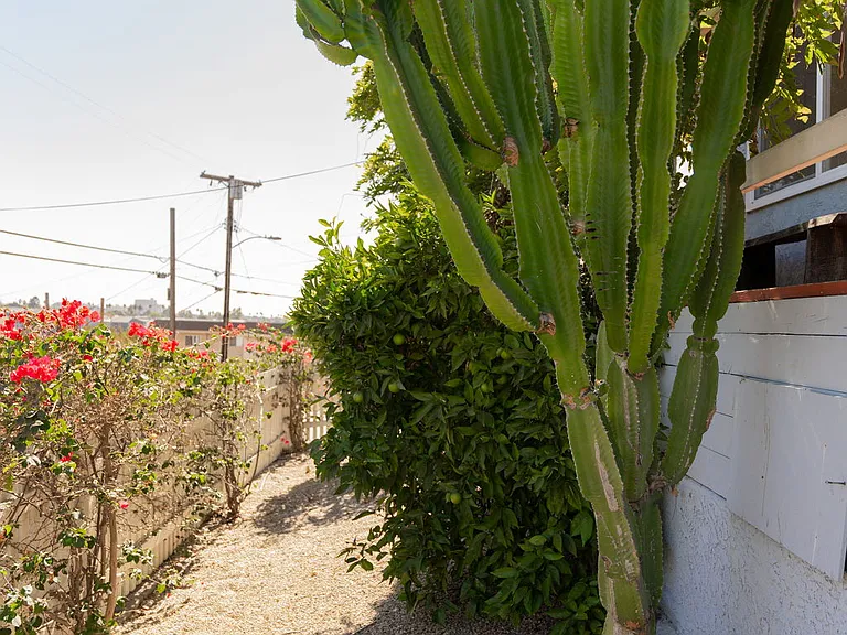 339 Isabel St — Photo 46