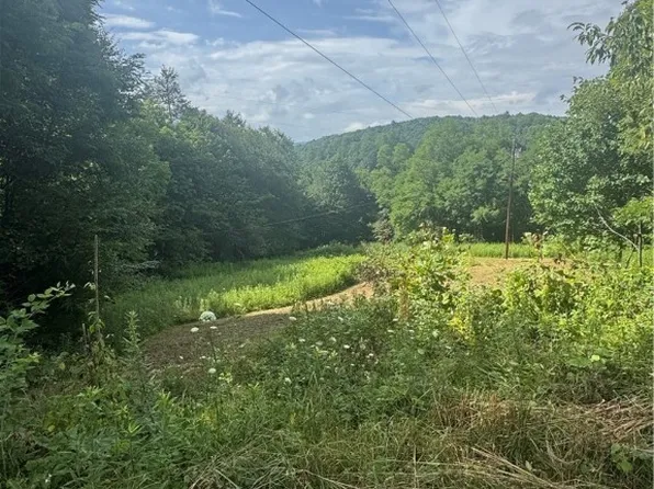 TBD Little Squirrel Creek Road, Newland, NC 28657